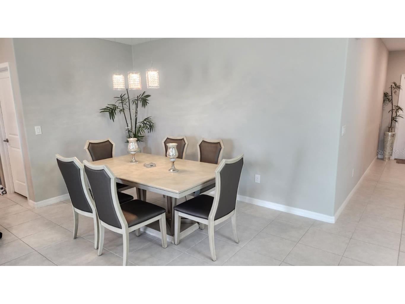 11537 Fern Hill Drive Riverview FL 33578 TB8452080 image7