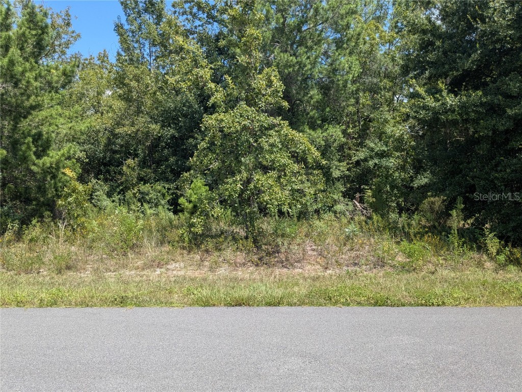 11537 SW 59th Terrace Ocala FL 34476 G5085871 image1