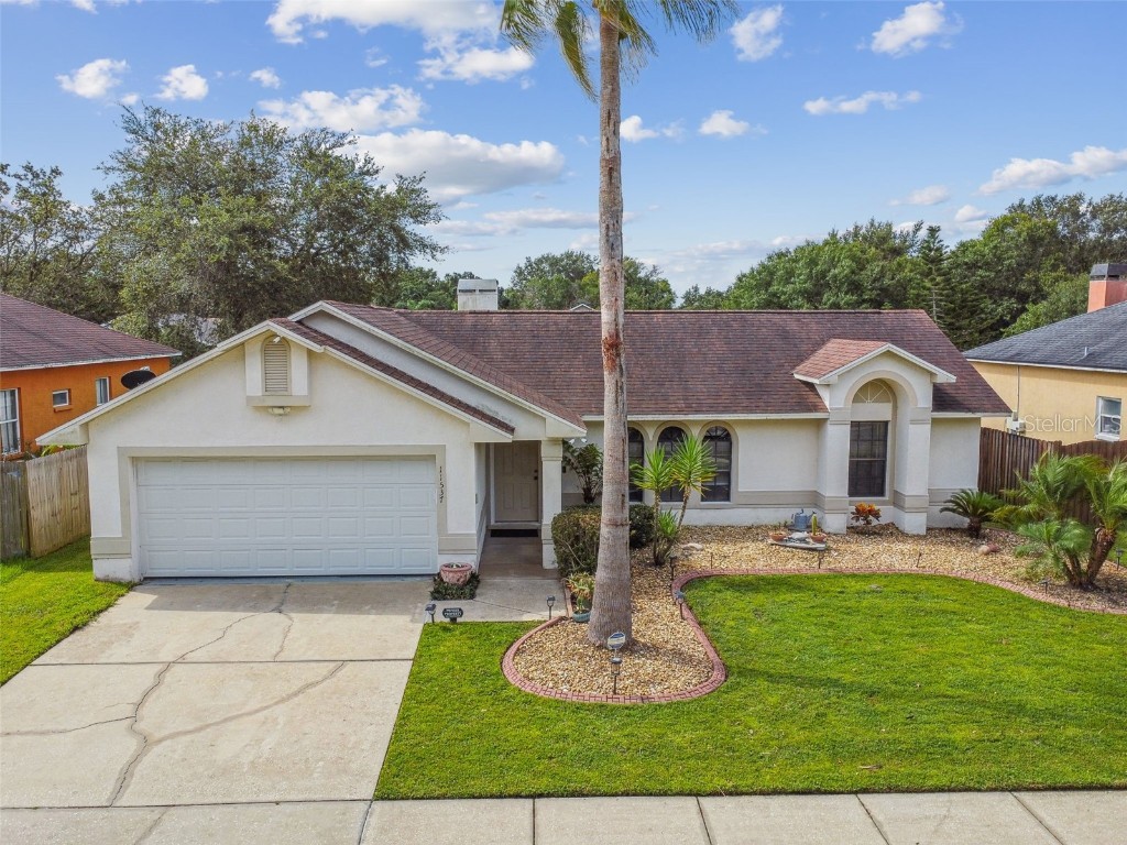 11537 Wellman Drive Riverview FL 33578 T3472841 image1