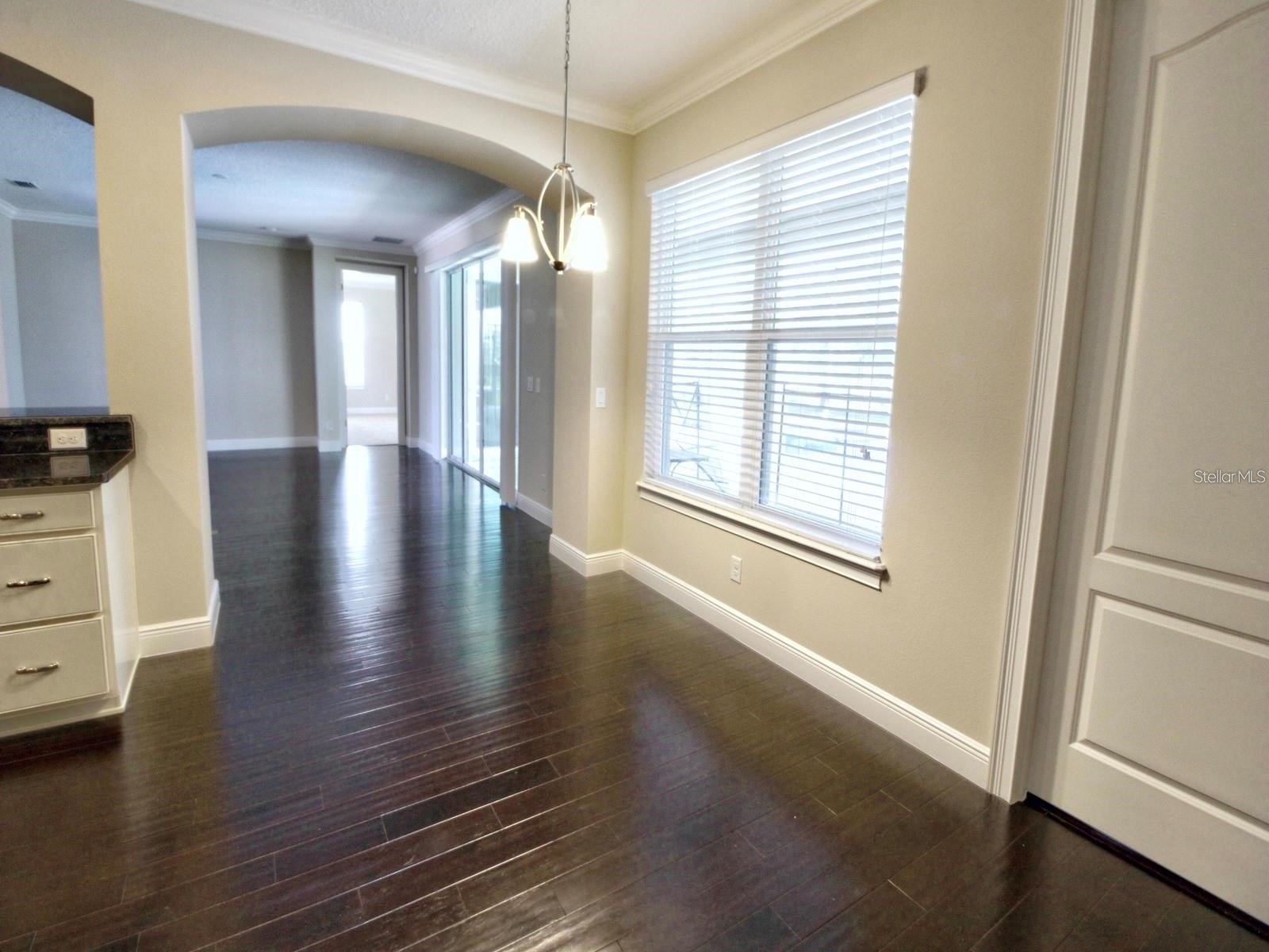 11539 Brickyard Pond Lane Windermere FL 34786 O6377340 image16