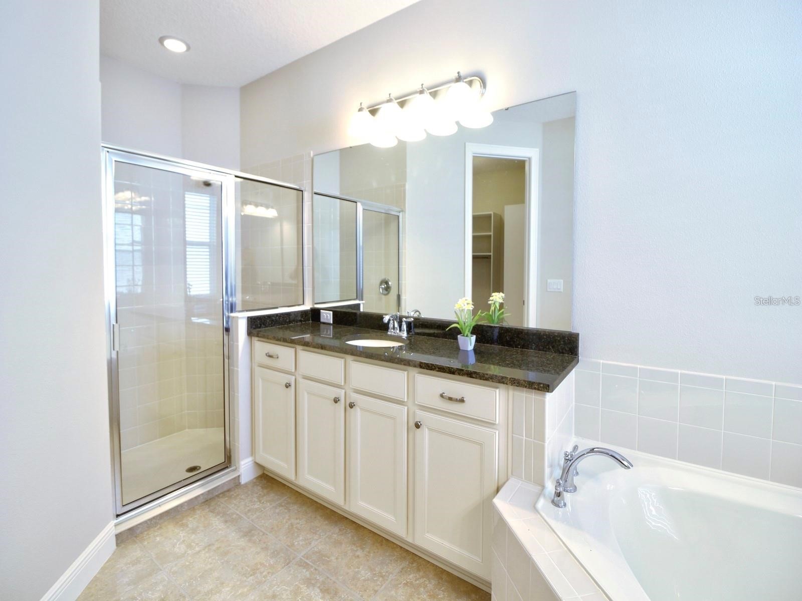 11539 Brickyard Pond Lane Windermere FL 34786 O6377340 image30