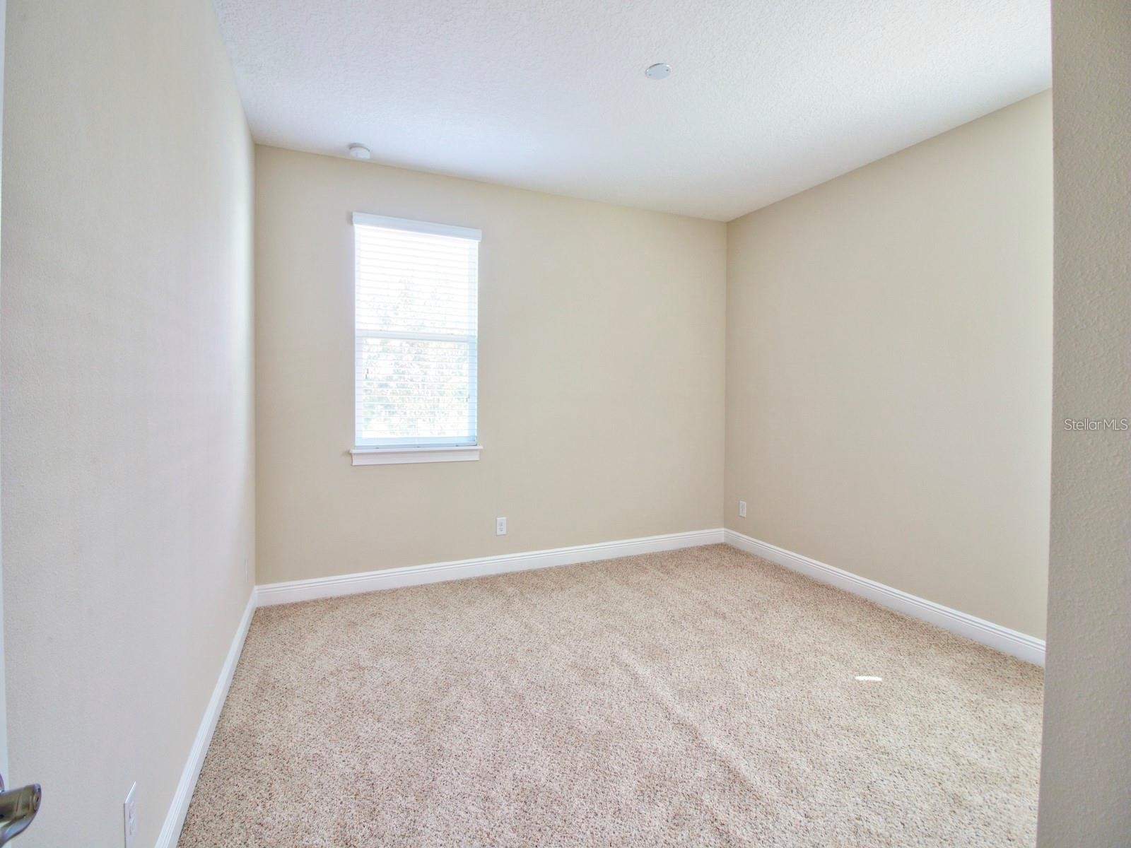 11539 Brickyard Pond Lane Windermere FL 34786 O6377340 image39