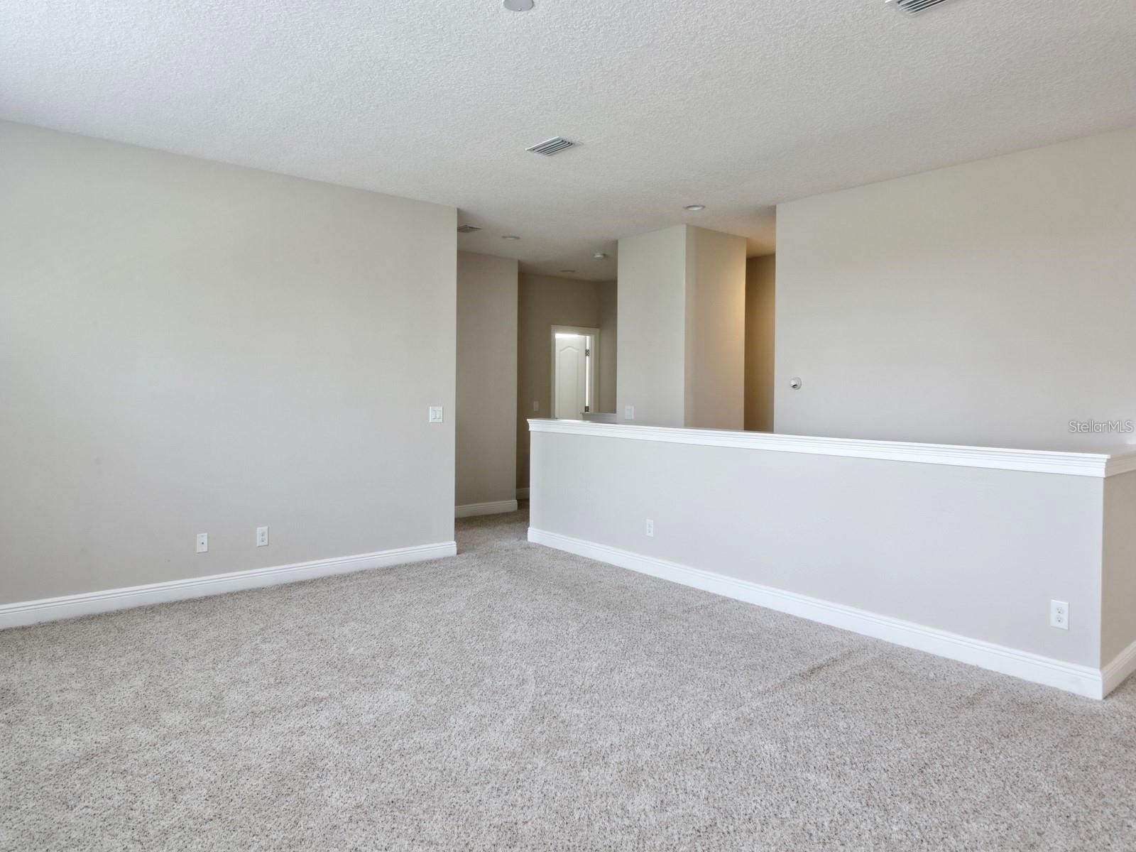 11539 Brickyard Pond Lane Windermere FL 34786 O6377340 image44