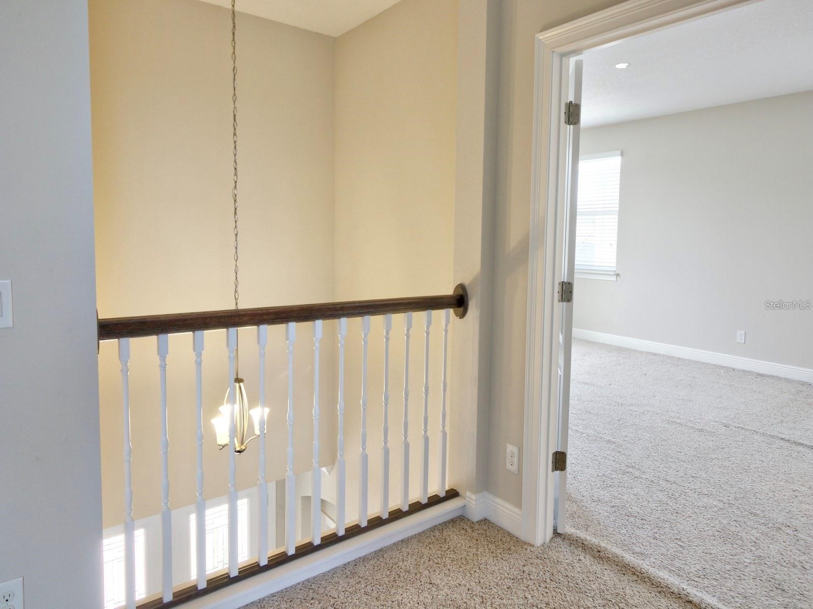 11539 Brickyard Pond Lane Windermere FL 34786 O6377340 image45