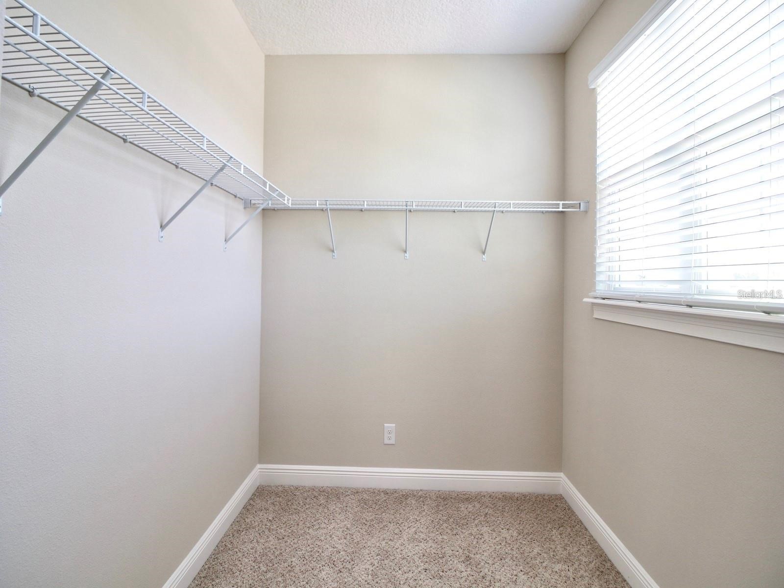 11539 Brickyard Pond Lane Windermere FL 34786 O6377340 image51