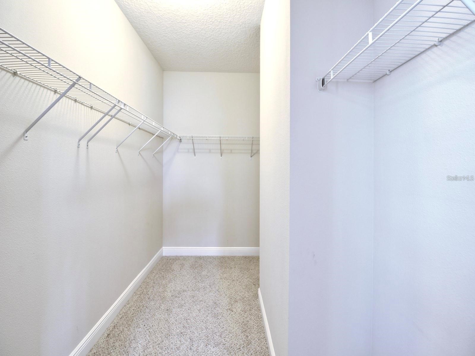 11539 Brickyard Pond Lane Windermere FL 34786 O6377340 image52