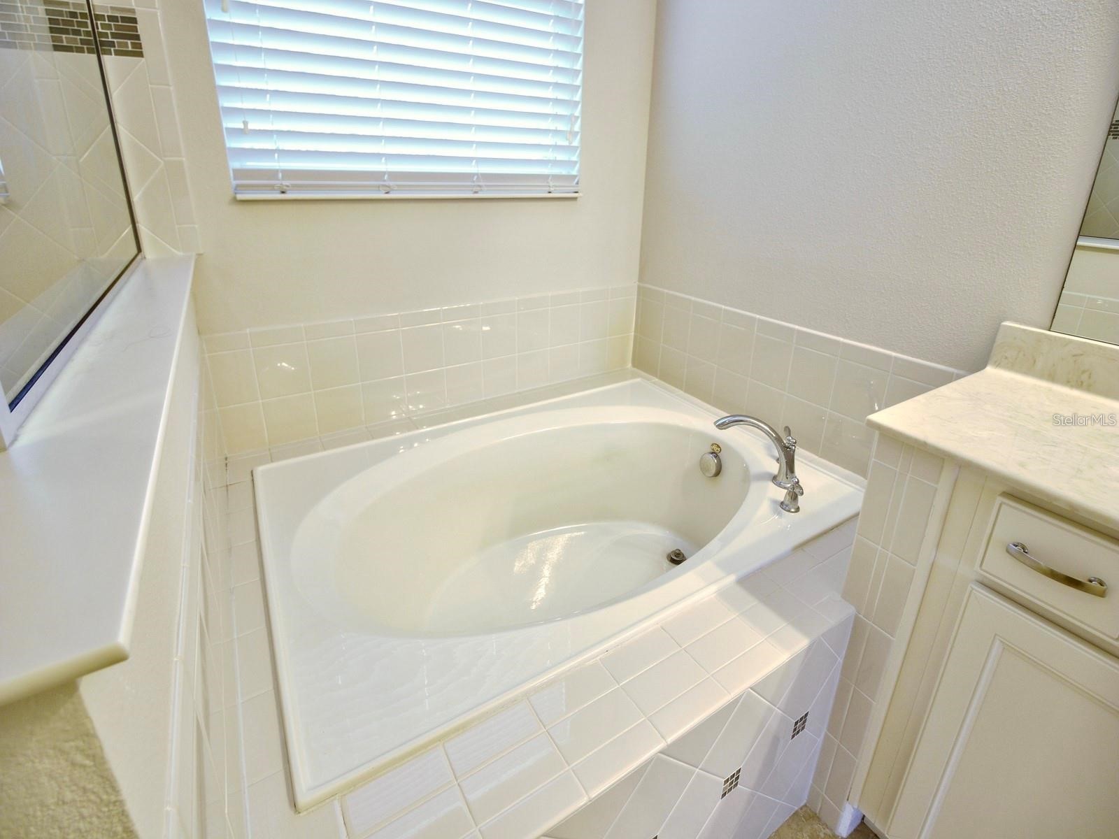 11539 Brickyard Pond Lane Windermere FL 34786 O6377340 image56