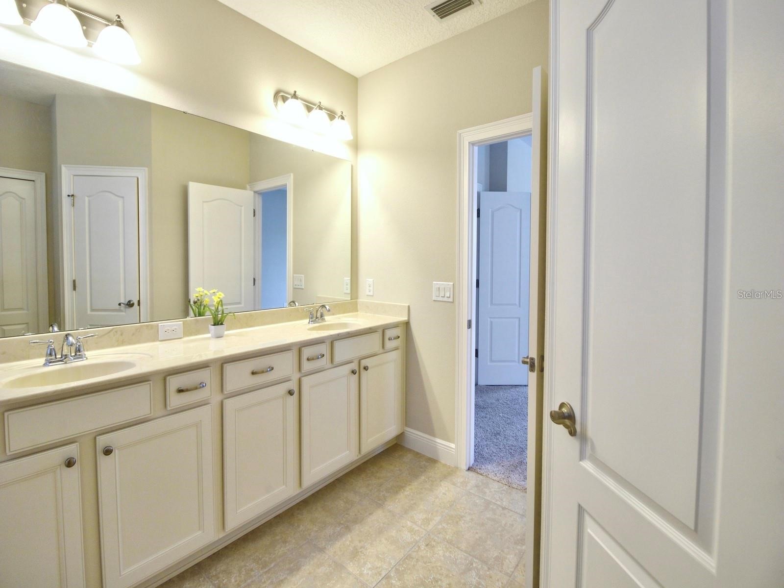 11539 Brickyard Pond Lane Windermere FL 34786 O6377340 image58