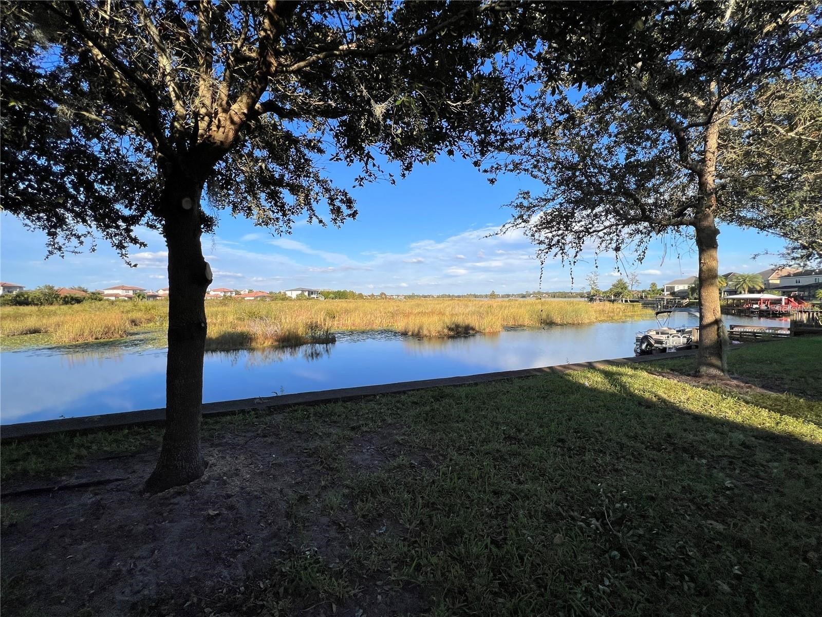 11539 Brickyard Pond Lane Windermere FL 34786 O6377340 image63