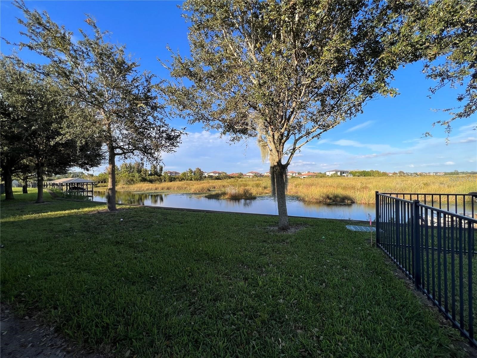 11539 Brickyard Pond Lane Windermere FL 34786 O6377340 image66