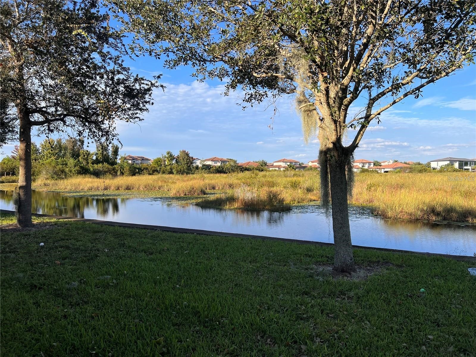 11539 Brickyard Pond Lane Windermere FL 34786 O6377340 image67