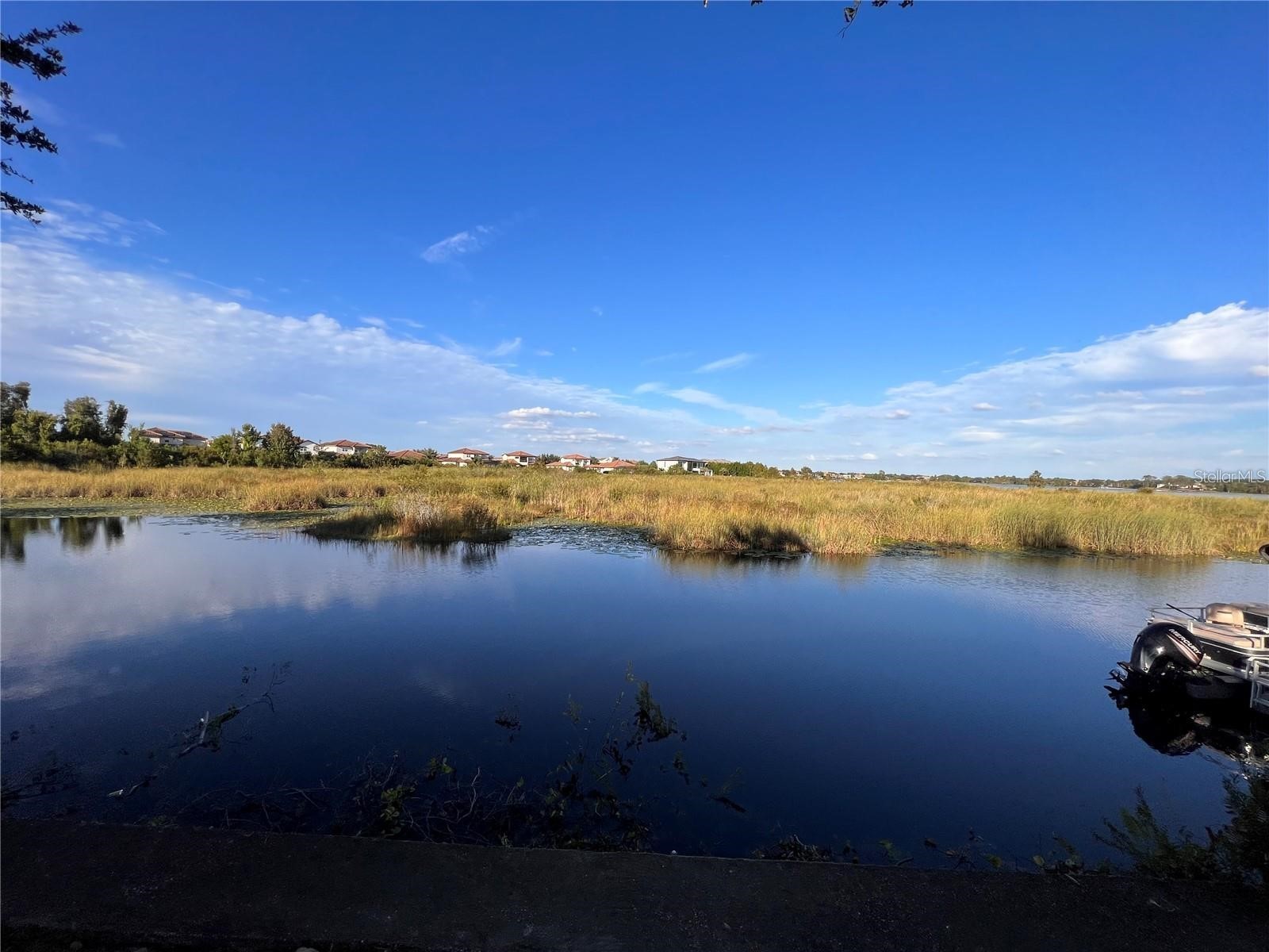 11539 Brickyard Pond Lane Windermere FL 34786 O6377340 image69