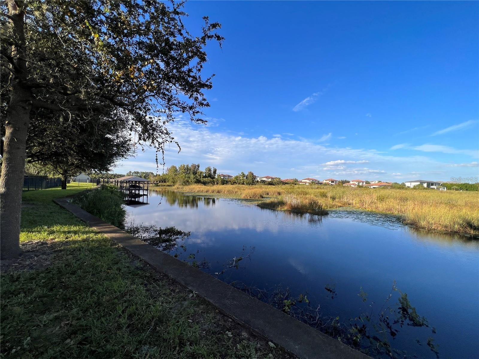 11539 Brickyard Pond Lane Windermere FL 34786 O6377340 image70