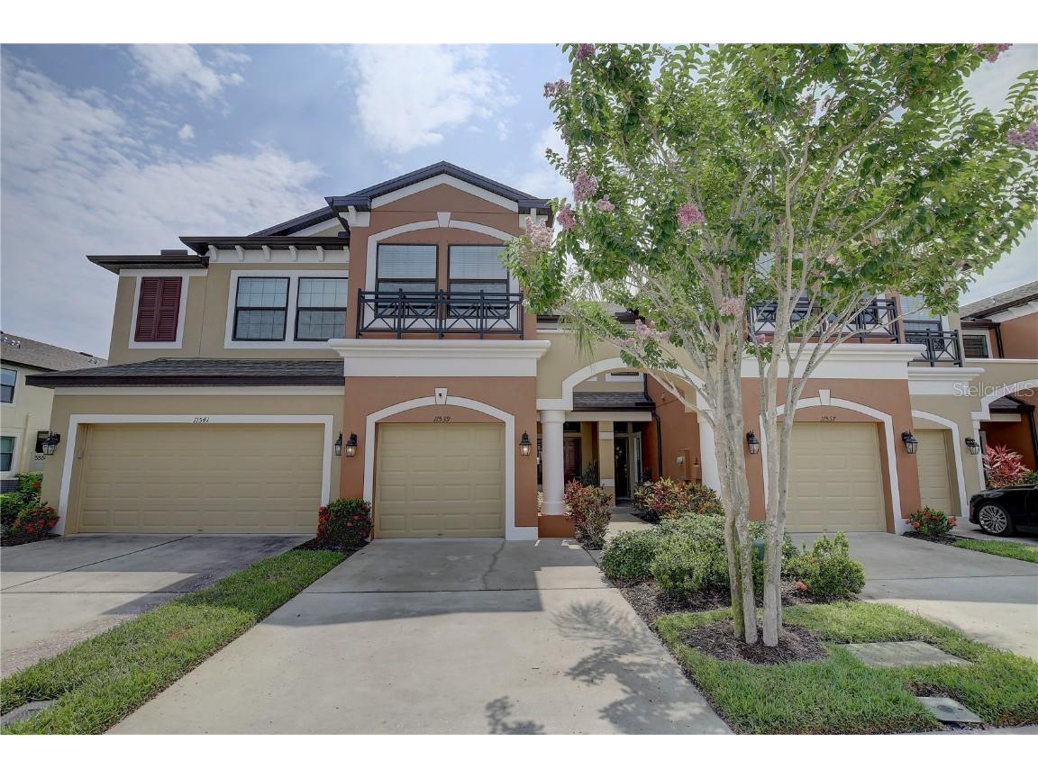 11539 Crowned Sparrow Lane Tampa FL 33626 U8243570 image1