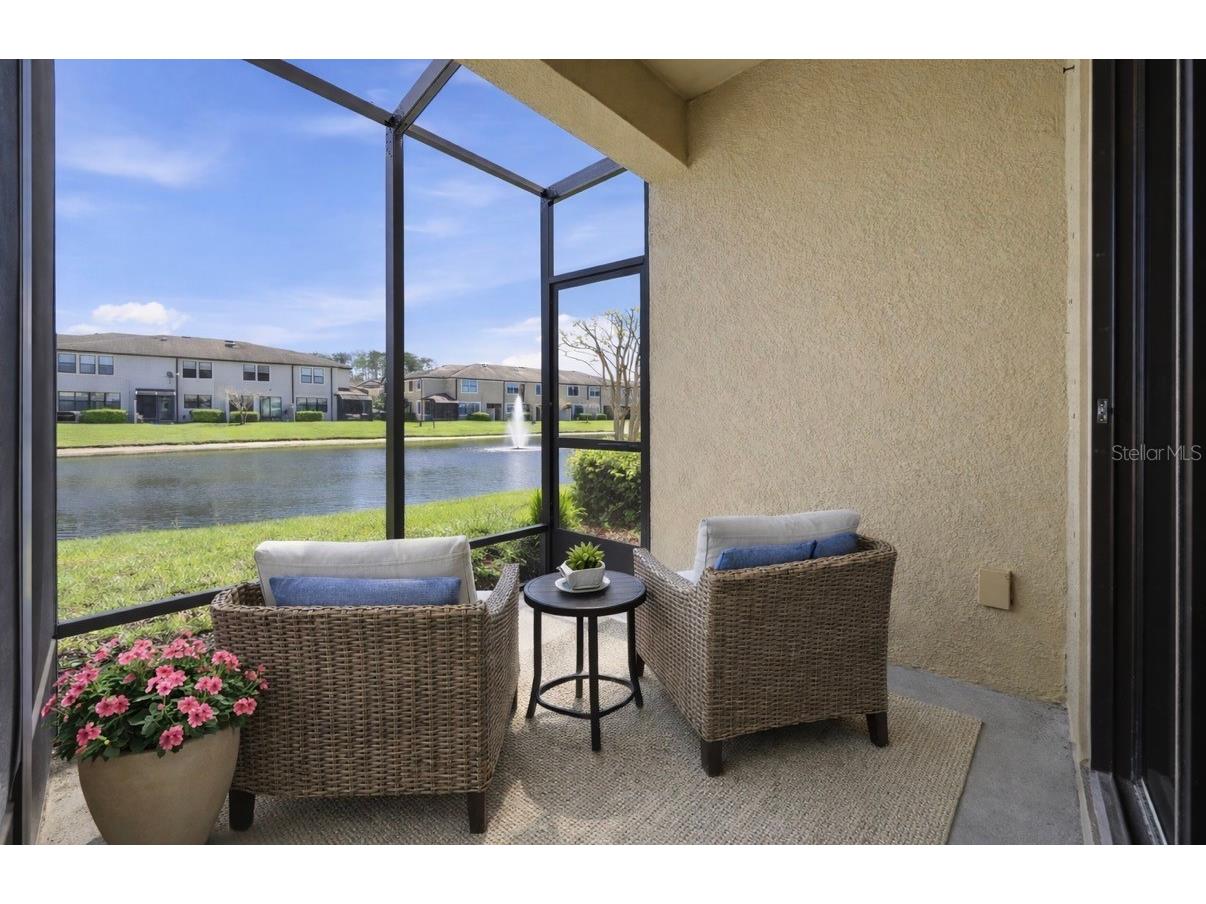 11539 Crowned Sparrow Lane Tampa FL 33626 TB8484485 image24