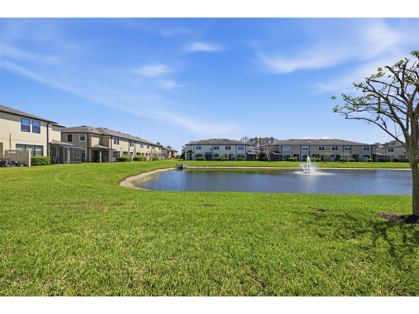 11539 Crowned Sparrow Lane Tampa FL 33626 TB8484485 image25