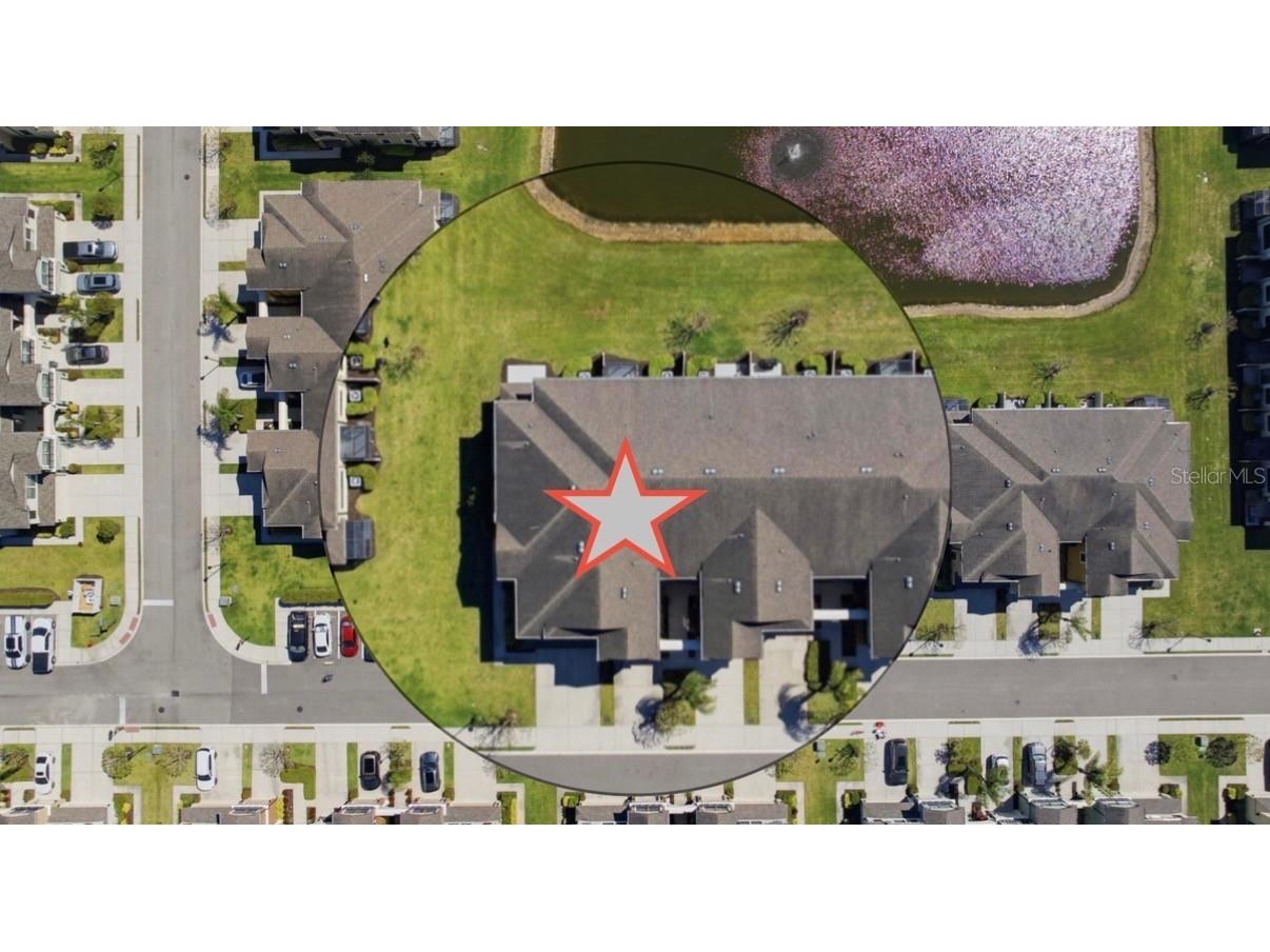 11539 Crowned Sparrow Lane Tampa FL 33626 TB8484485 image32