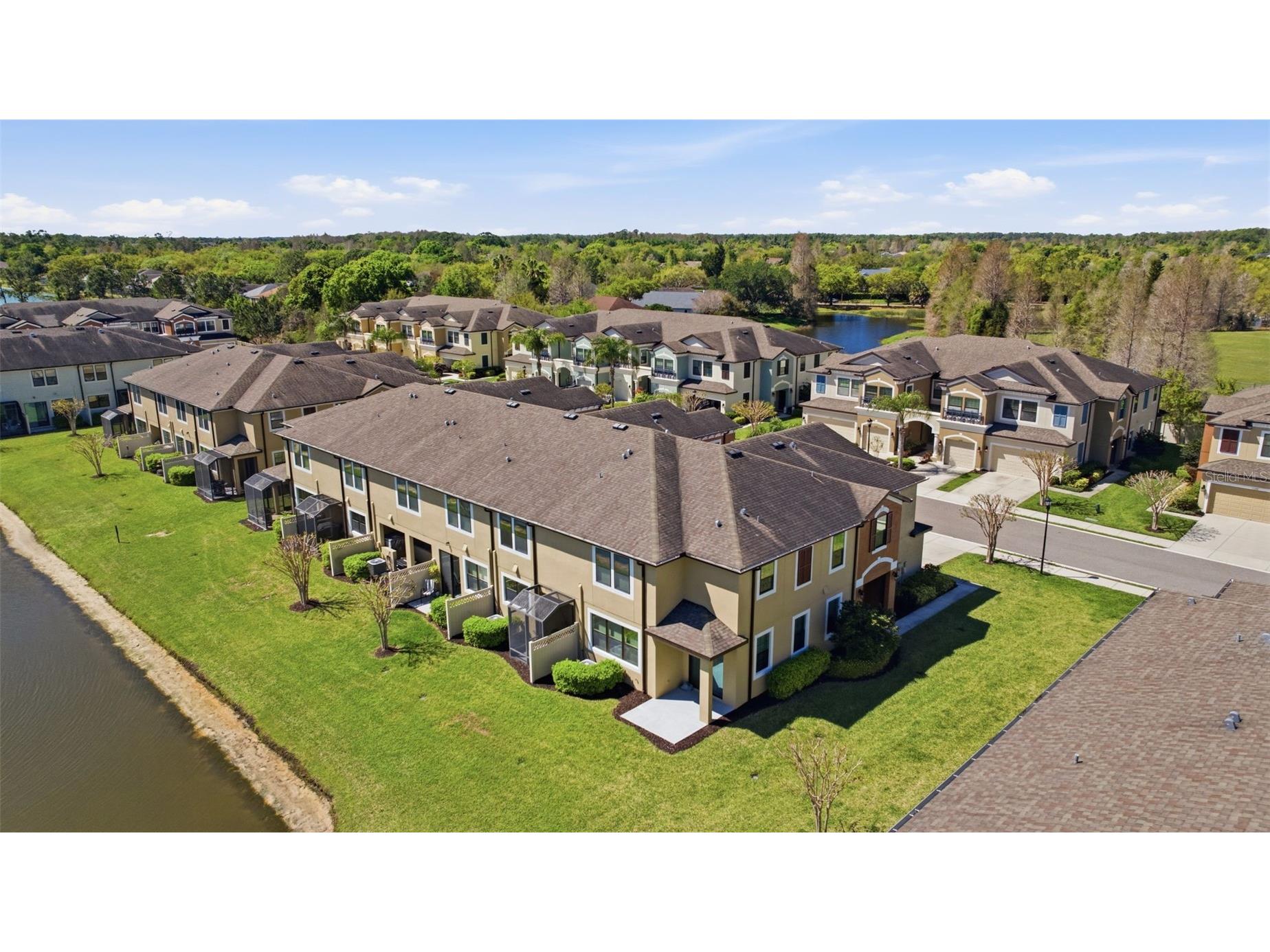 11539 Crowned Sparrow Lane Tampa FL 33626 TB8484485 image34