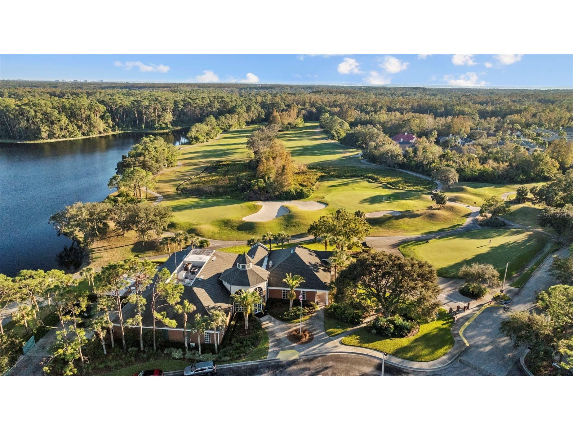 11539 Crowned Sparrow Lane Tampa FL 33626 TB8484485 image45