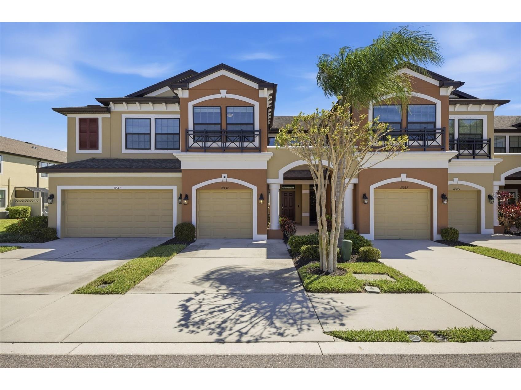 11539 Crowned Sparrow Lane Tampa FL 33626 TB8488928 image1