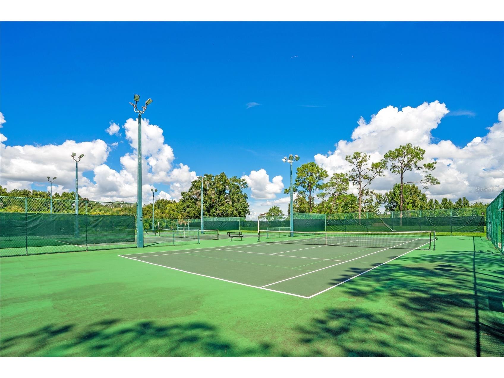 11539 Lake Butler Boulevard Windermere FL 34786 - LAKE BUTLER CHAIN OF LAKES O6416913 image75