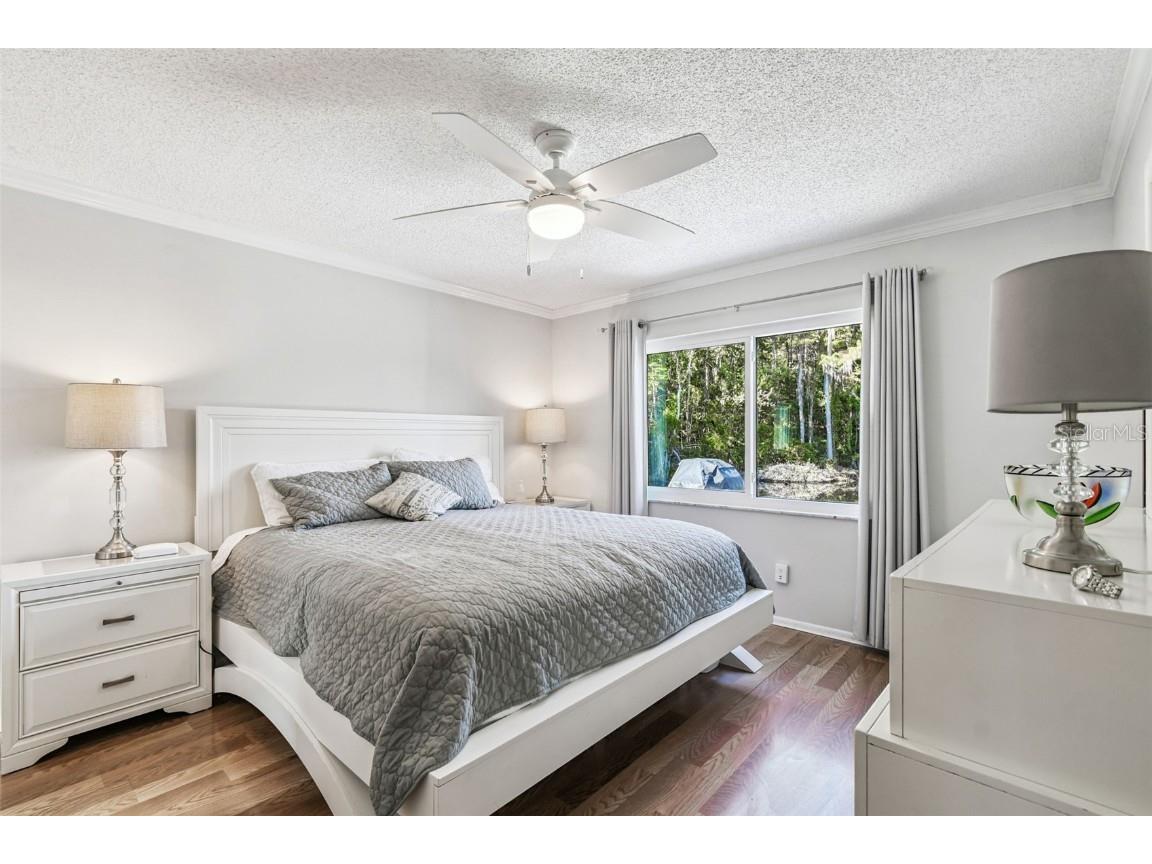 11539 Scotch Pine Drive New Port Richey FL 34654 TB8448229 image11