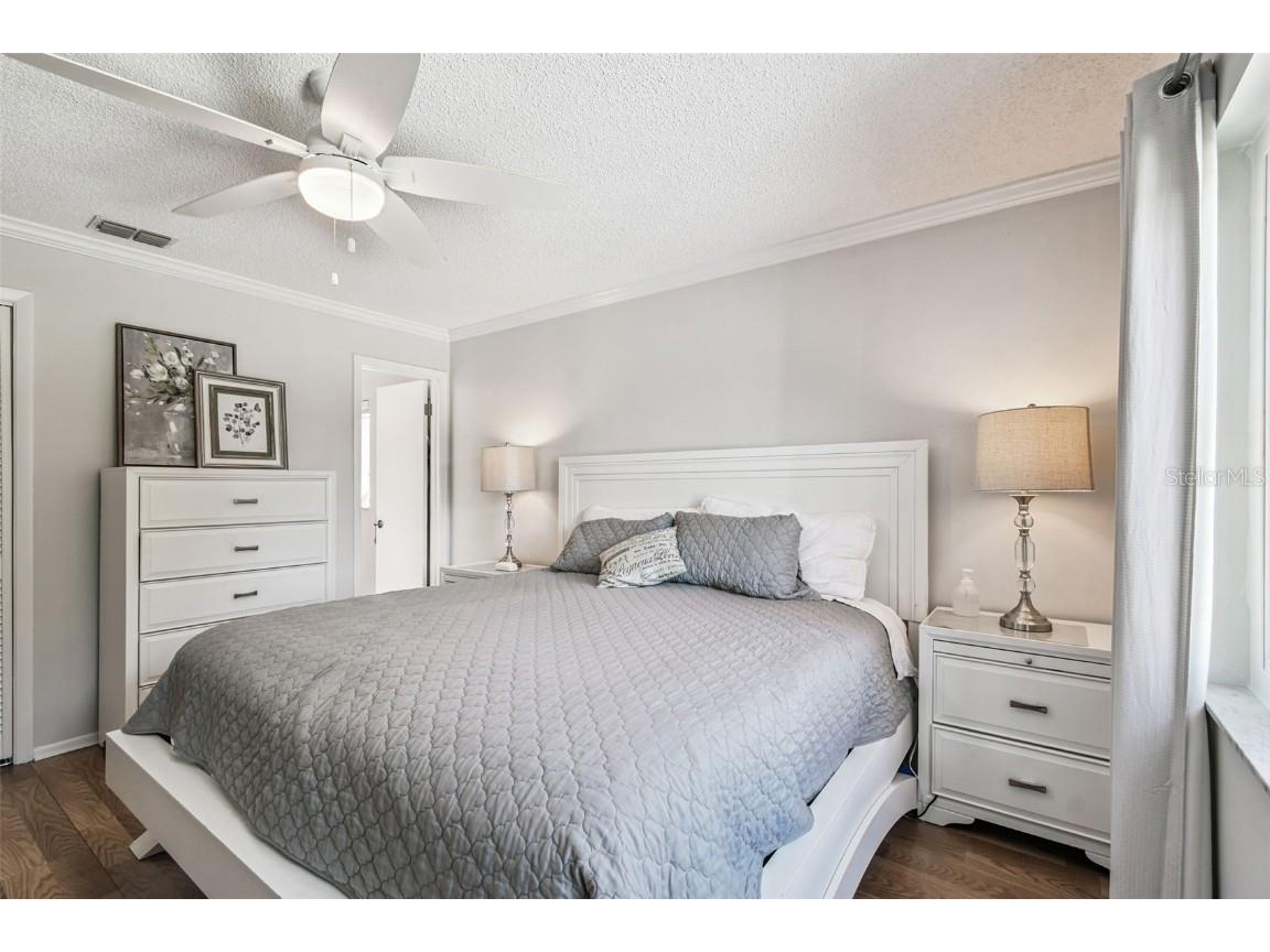 11539 Scotch Pine Drive New Port Richey FL 34654 TB8448229 image12