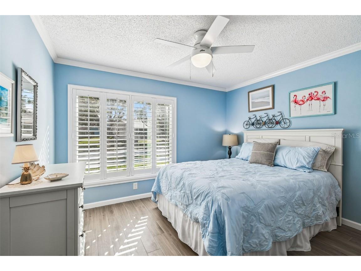 11539 Scotch Pine Drive New Port Richey FL 34654 TB8448229 image15