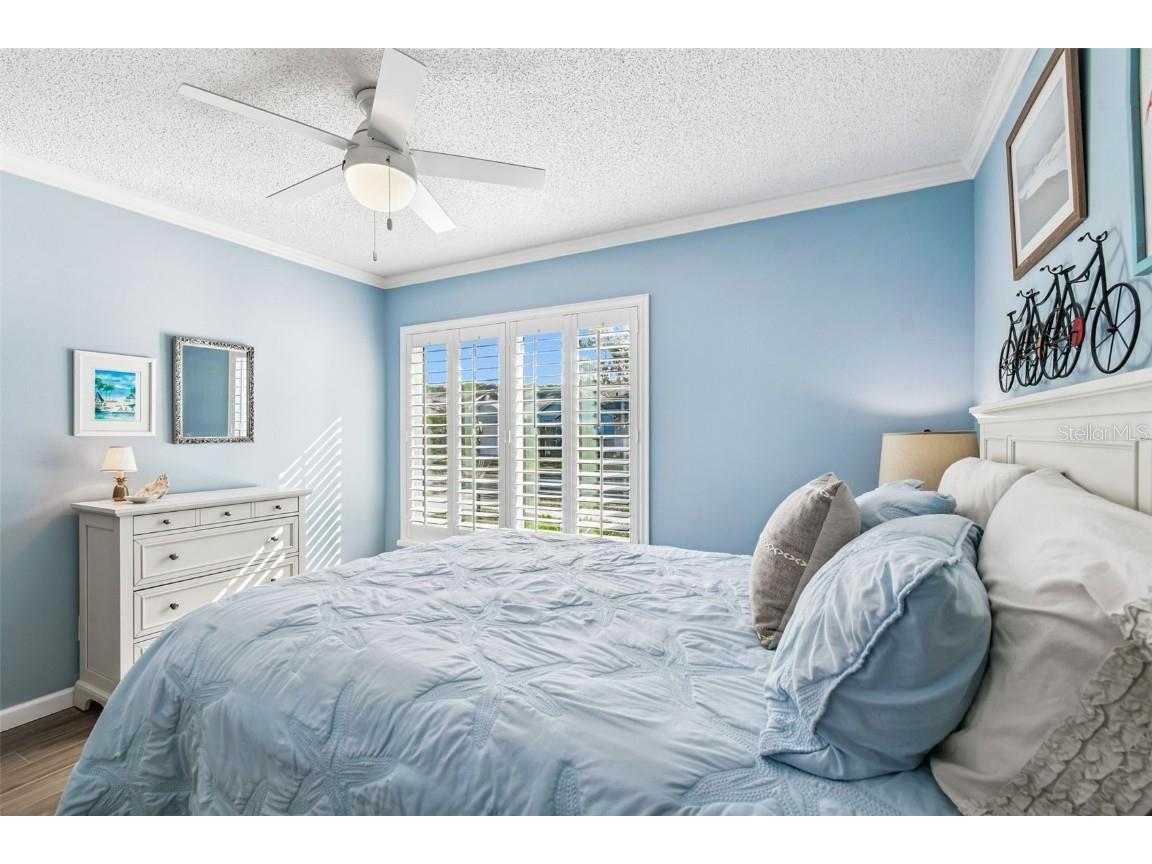 11539 Scotch Pine Drive New Port Richey FL 34654 TB8448229 image16