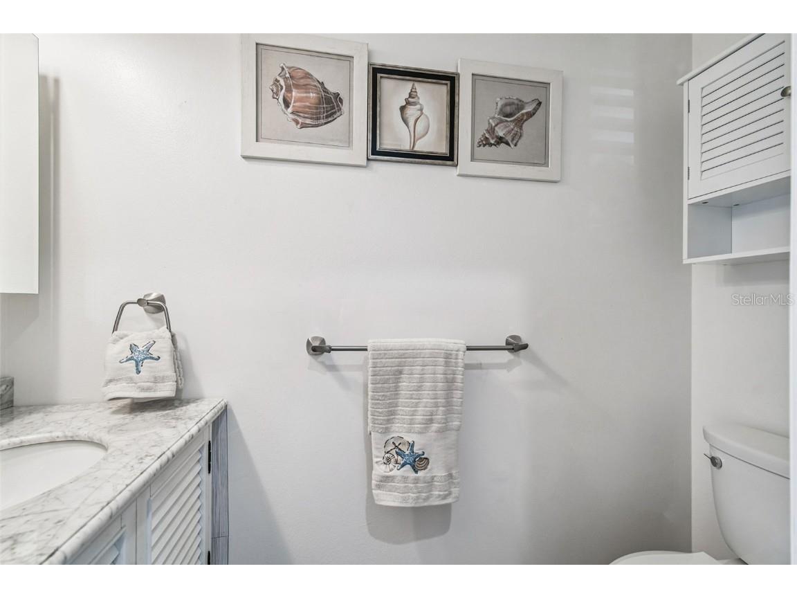 11539 Scotch Pine Drive New Port Richey FL 34654 TB8448229 image17