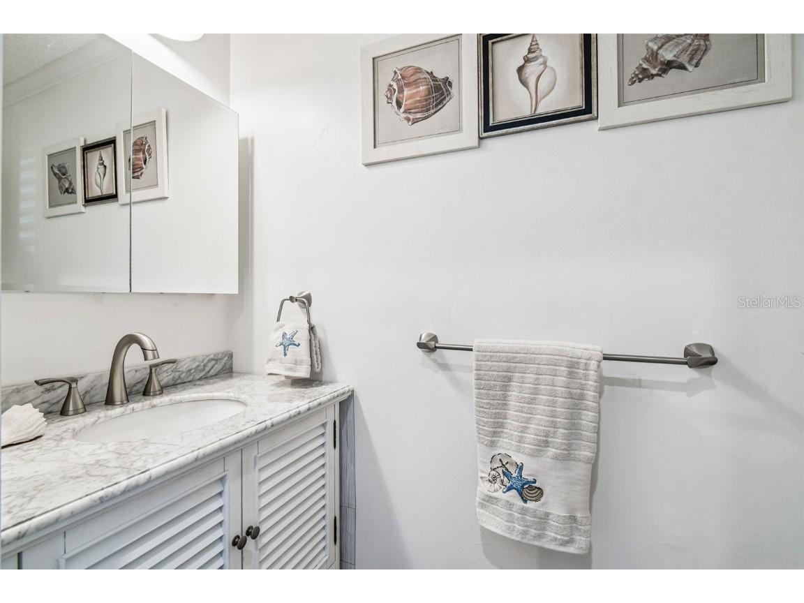 11539 Scotch Pine Drive New Port Richey FL 34654 TB8448229 image18