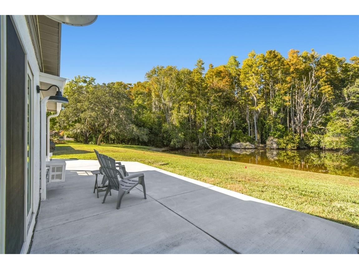 11539 Scotch Pine Drive New Port Richey FL 34654 TB8448229 image24