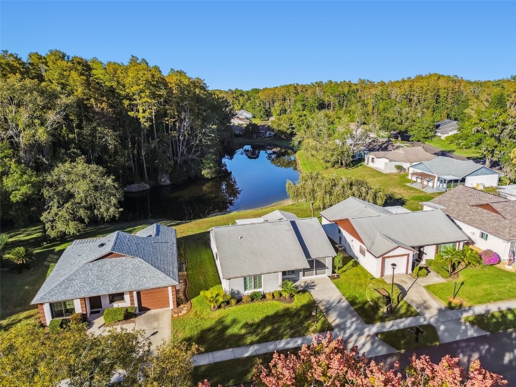 11539 Scotch Pine Drive New Port Richey FL 34654 TB8448229 image26