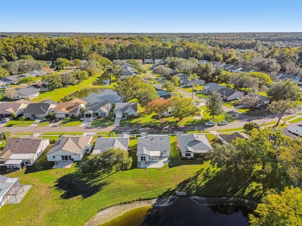 11539 Scotch Pine Drive New Port Richey FL 34654 TB8448229 image28