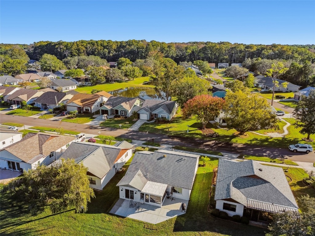 11539 Scotch Pine Drive New Port Richey FL 34654 TB8448229 image29