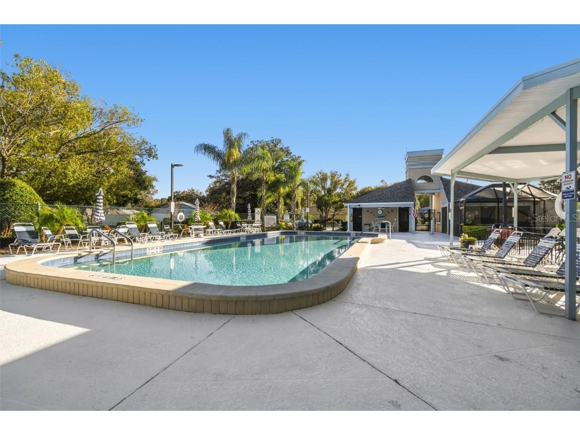 11539 Scotch Pine Drive New Port Richey FL 34654 TB8448229 image38