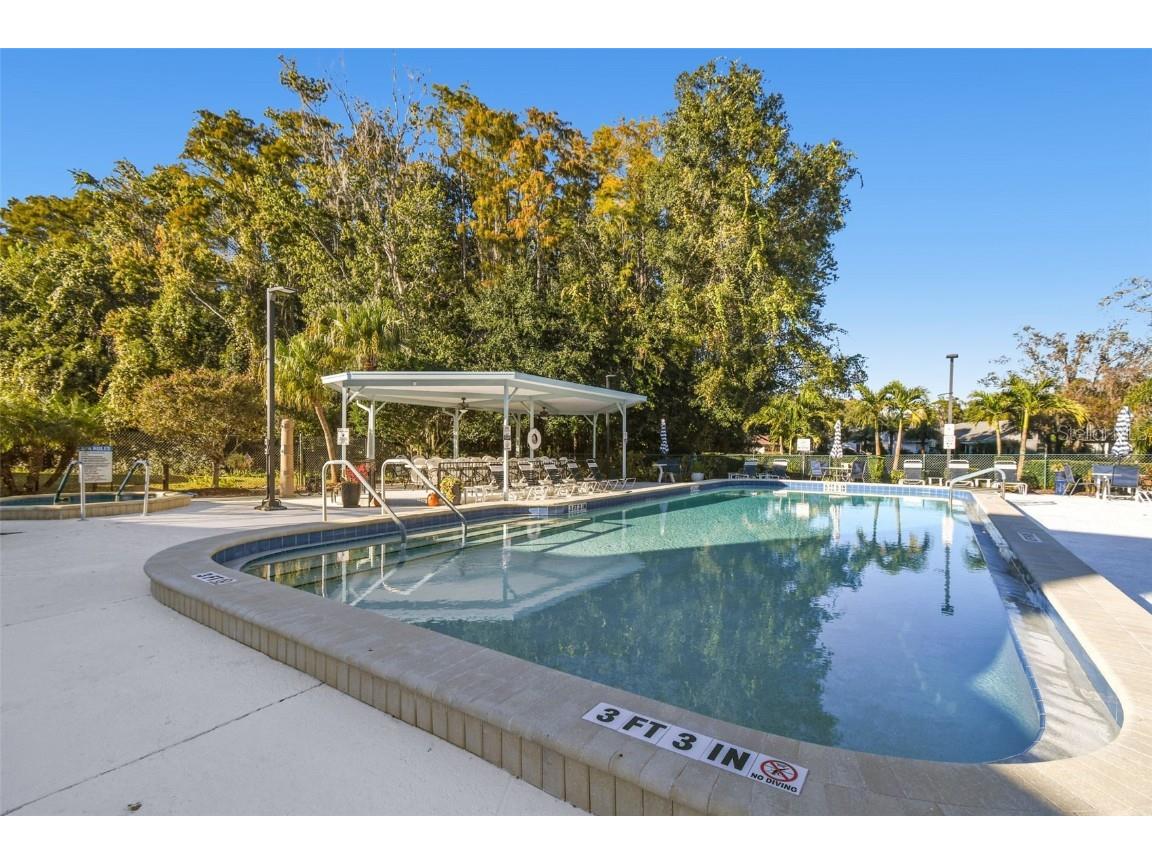 11539 Scotch Pine Drive New Port Richey FL 34654 TB8448229 image39