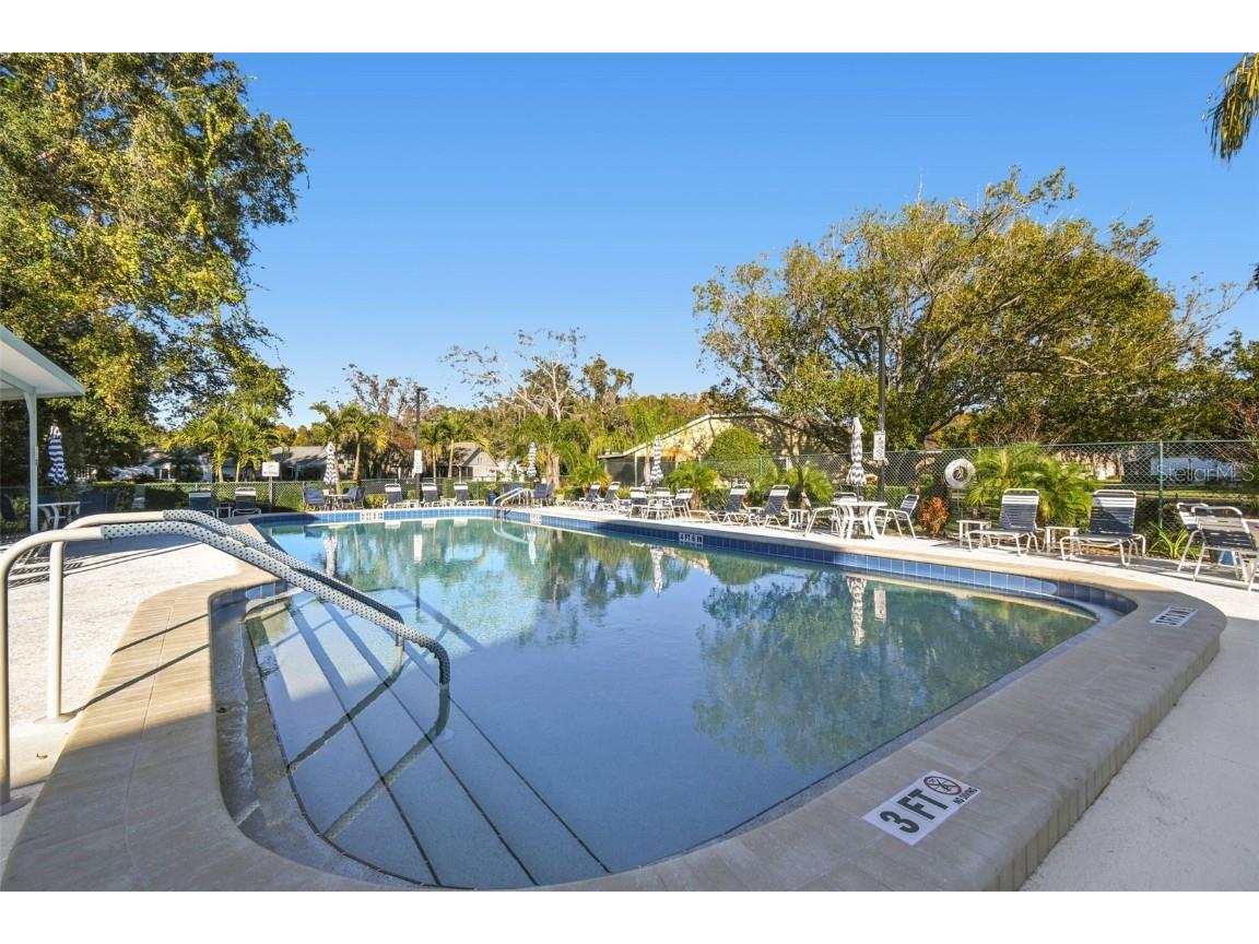 11539 Scotch Pine Drive New Port Richey FL 34654 TB8448229 image40