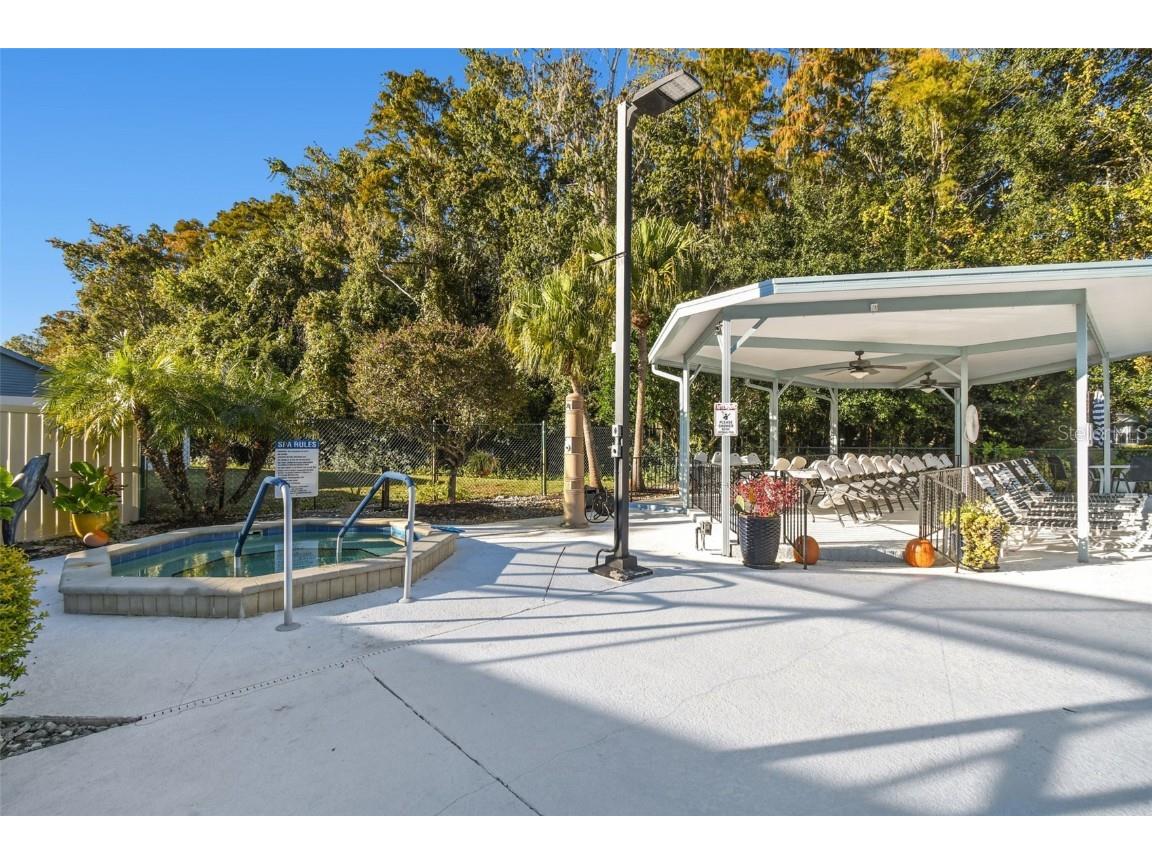 11539 Scotch Pine Drive New Port Richey FL 34654 TB8448229 image41