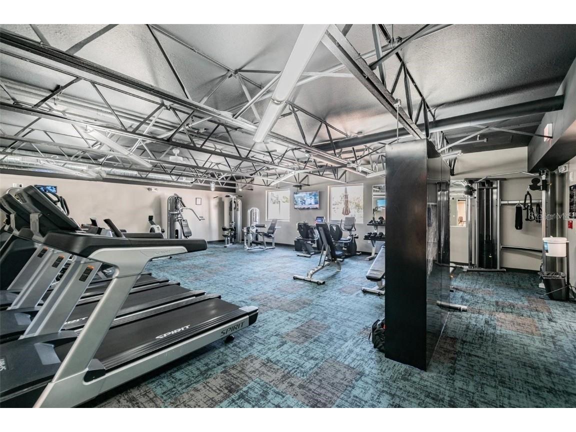 11539 Scotch Pine Drive New Port Richey FL 34654 TB8448229 image46