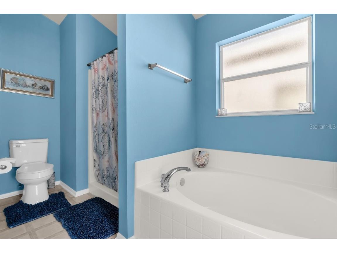 1154 Bloomingdale Drive Davenport FL 33897 O6364193 image25