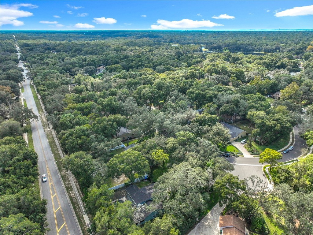 1154 Deer Lake Circle Apopka FL 32712 O6351579 image63