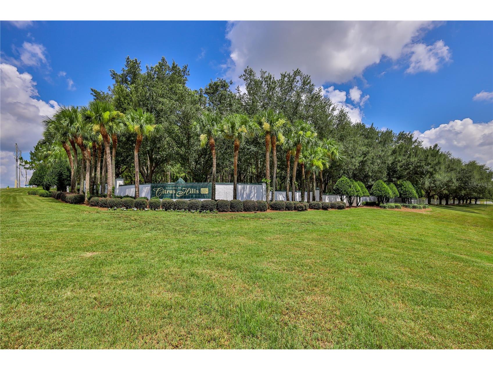1154 E Triple Crown Loop Hernando FL 34442 TB8523961 image70