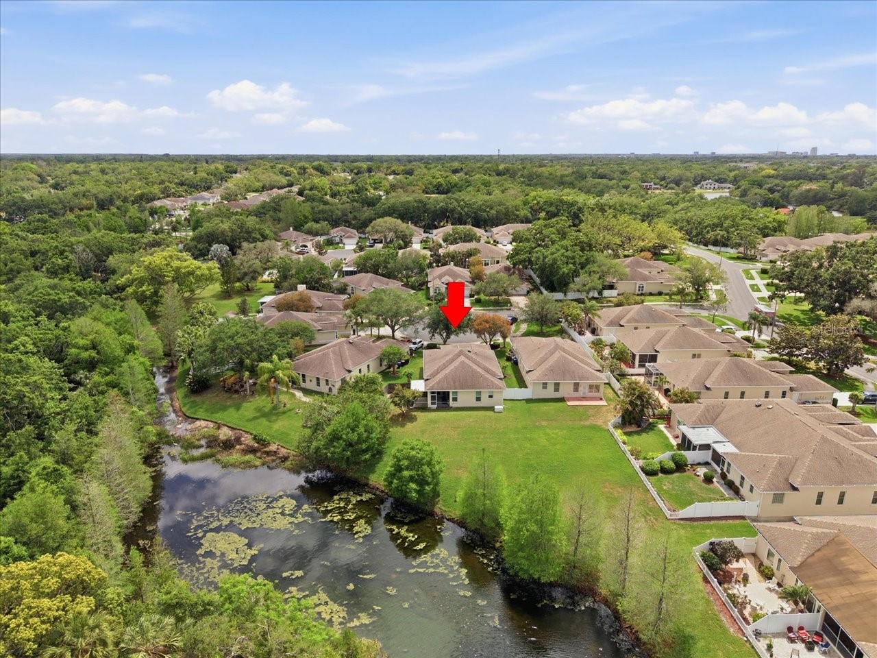 1154 Sarah Court Dunedin FL 34698 TB8505734 image16