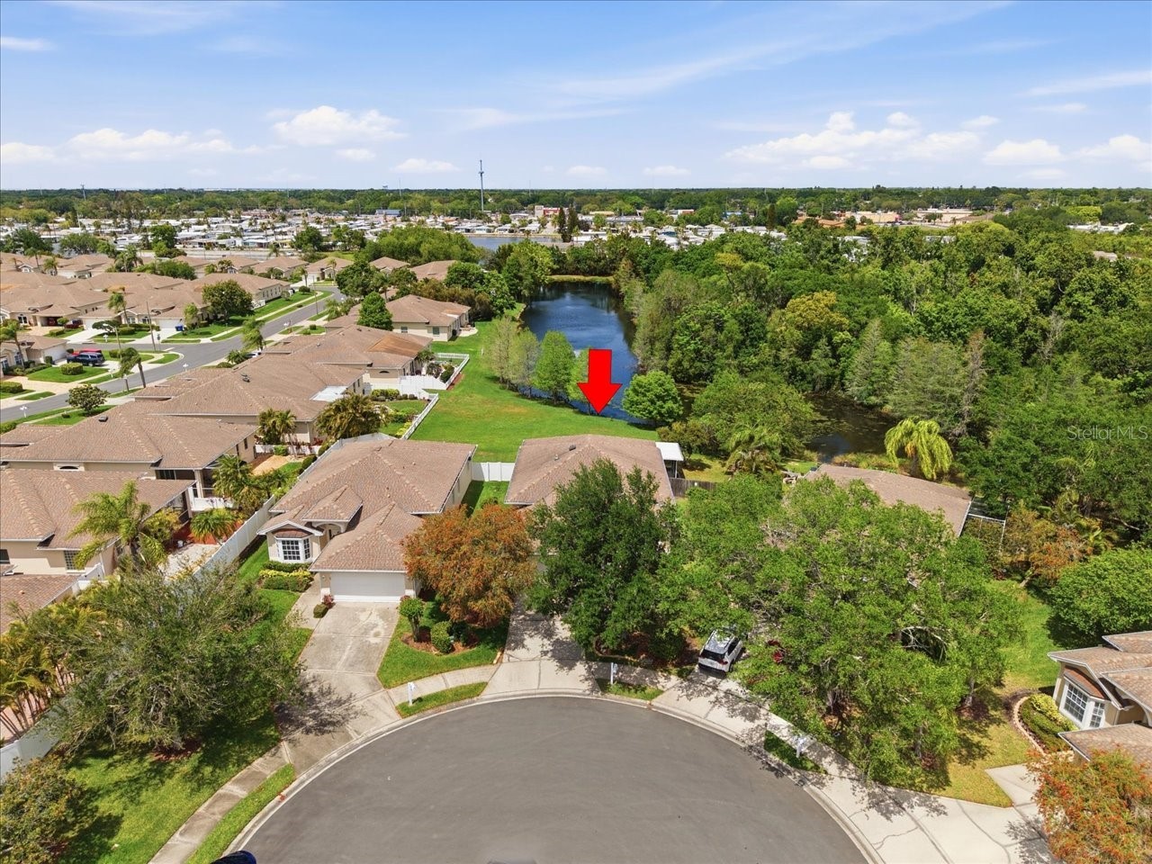 1154 Sarah Court Dunedin FL 34698 TB8505734 image3
