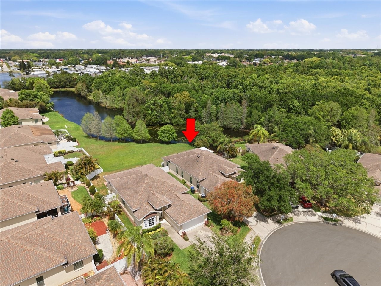 1154 Sarah Court Dunedin FL 34698 TB8505734 image5