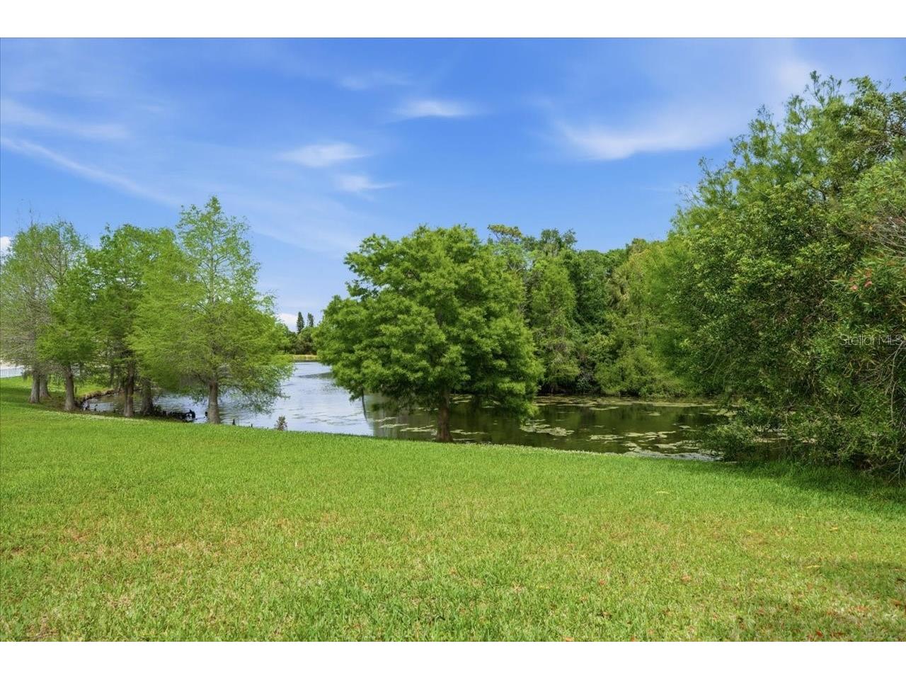 1154 Sarah Court Dunedin FL 34698 TB8505734 image68
