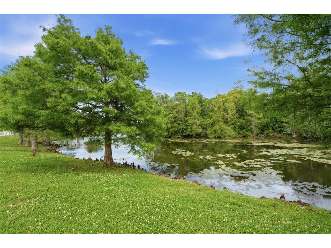 1154 Sarah Court Dunedin FL 34698 TB8505734 image70