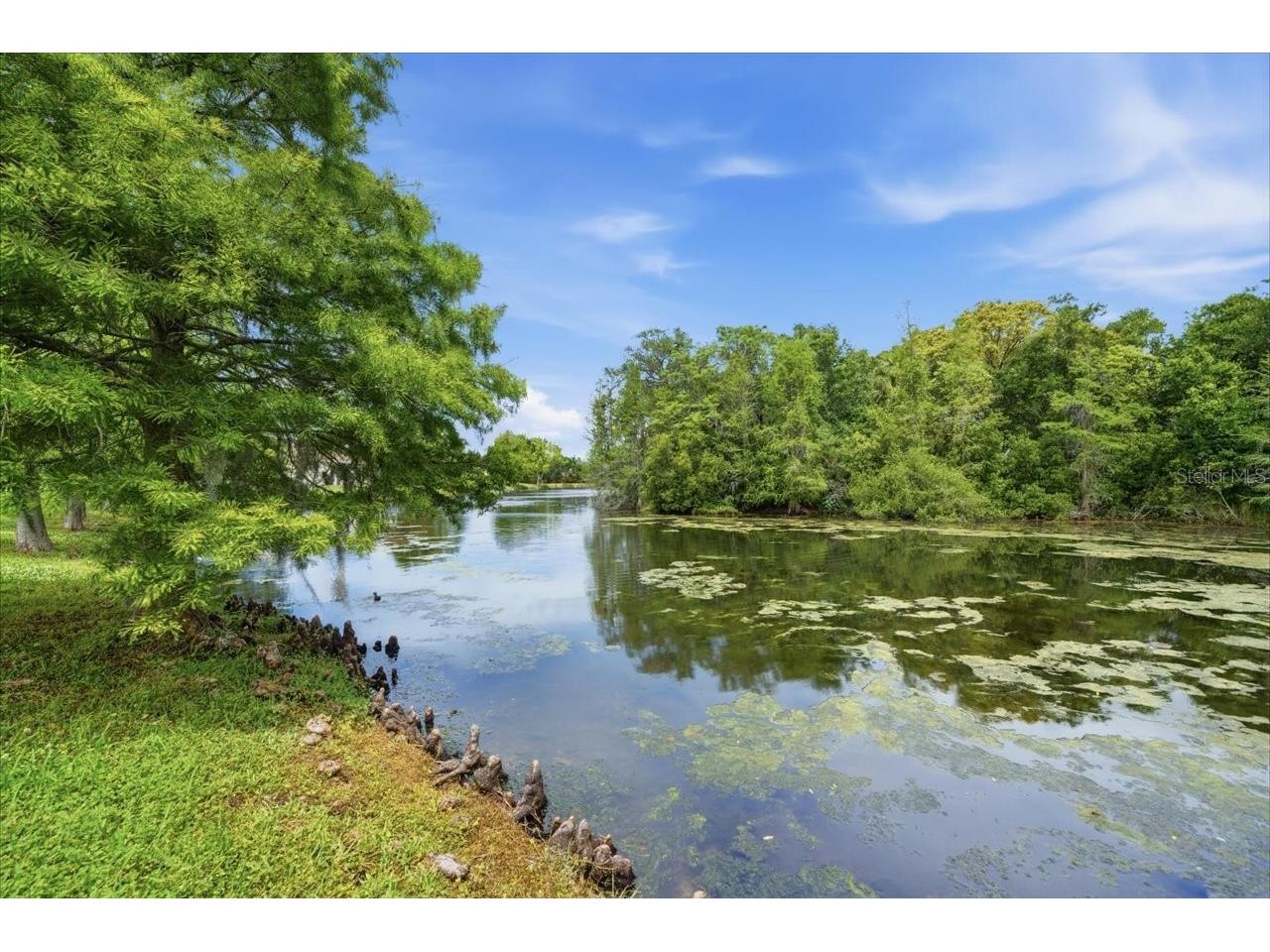 1154 Sarah Court Dunedin FL 34698 TB8505734 image71