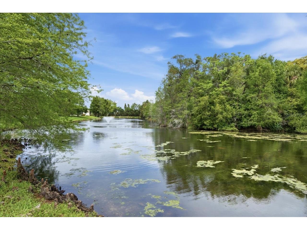 1154 Sarah Court Dunedin FL 34698 TB8505734 image73